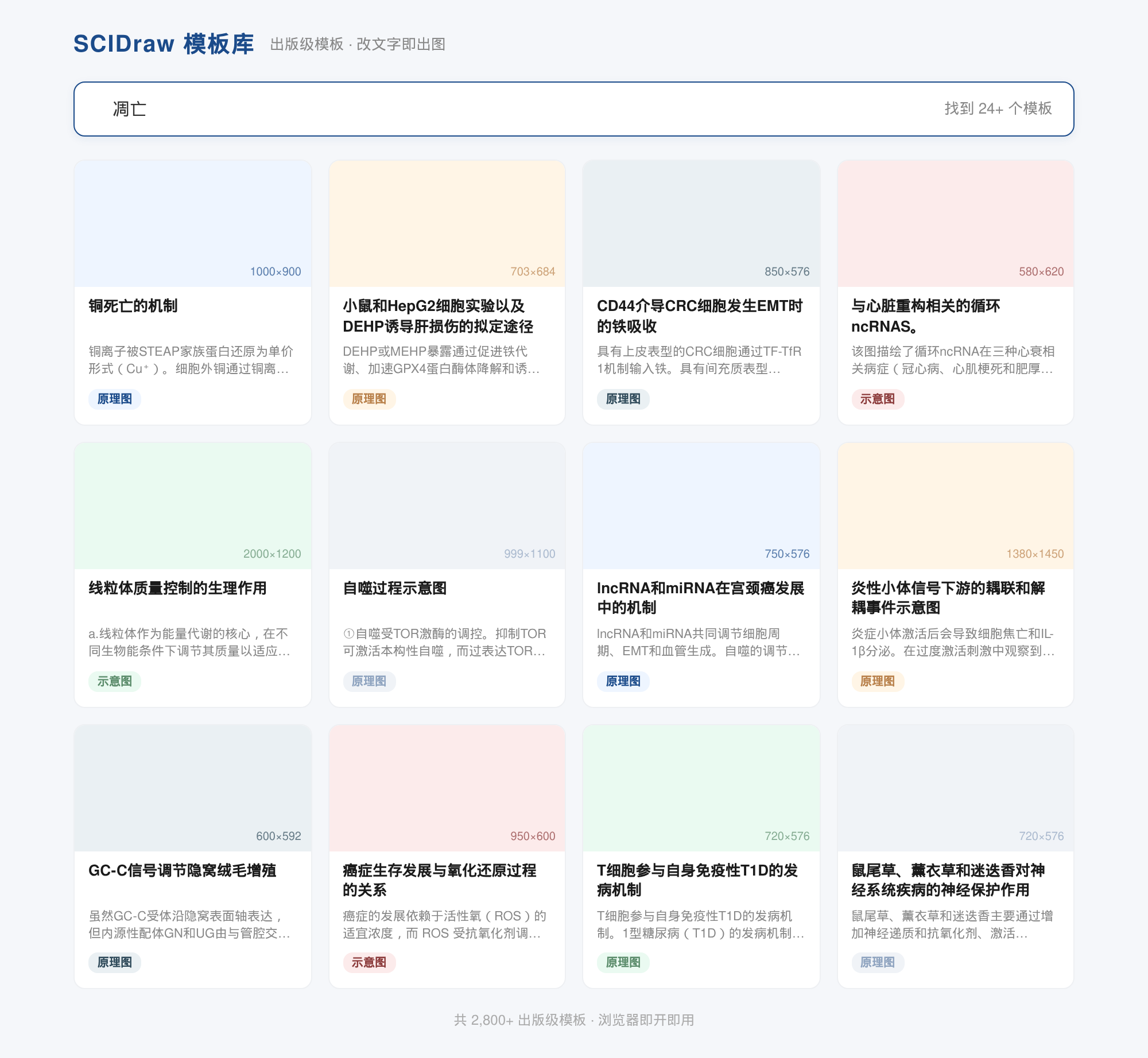 搜索凋亡模板结果